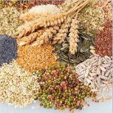 Foodgrain business
