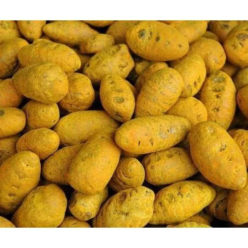 Turmeric bulbs